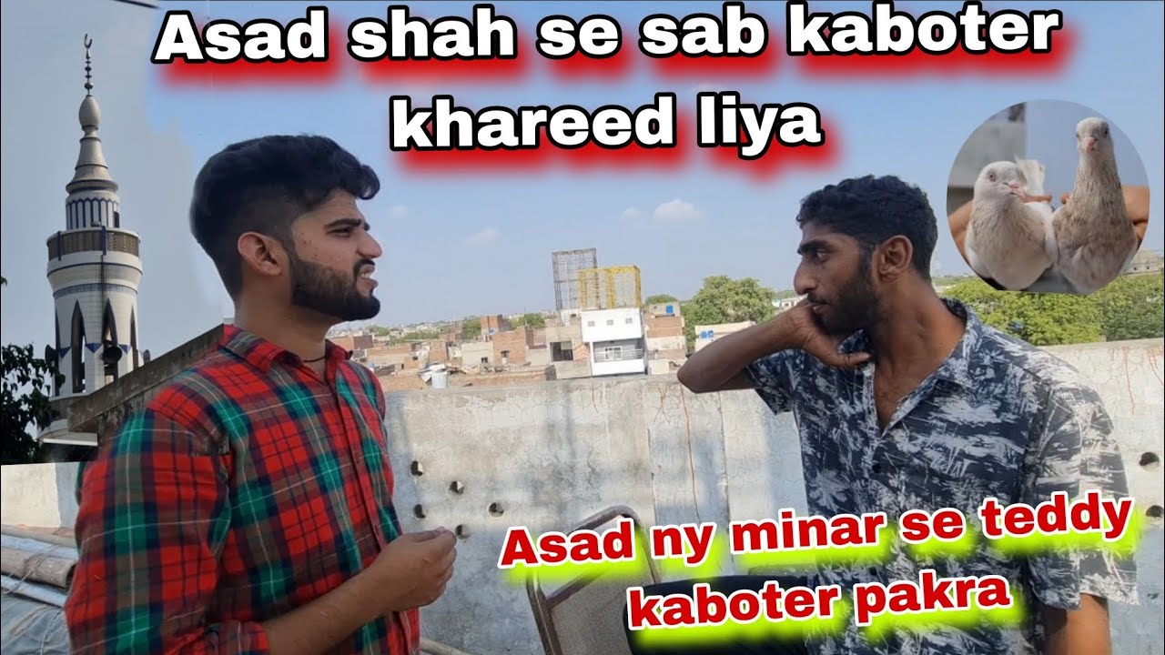 Asad shah se sab kaboter khareed liya 😲 Rs 8,000 se Kam nhi doga lal jora