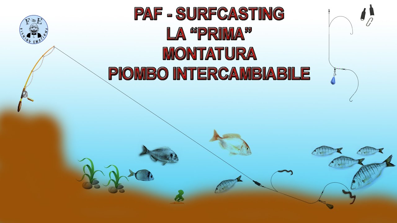TUTORIAL - PAF / SURFCASTING La 