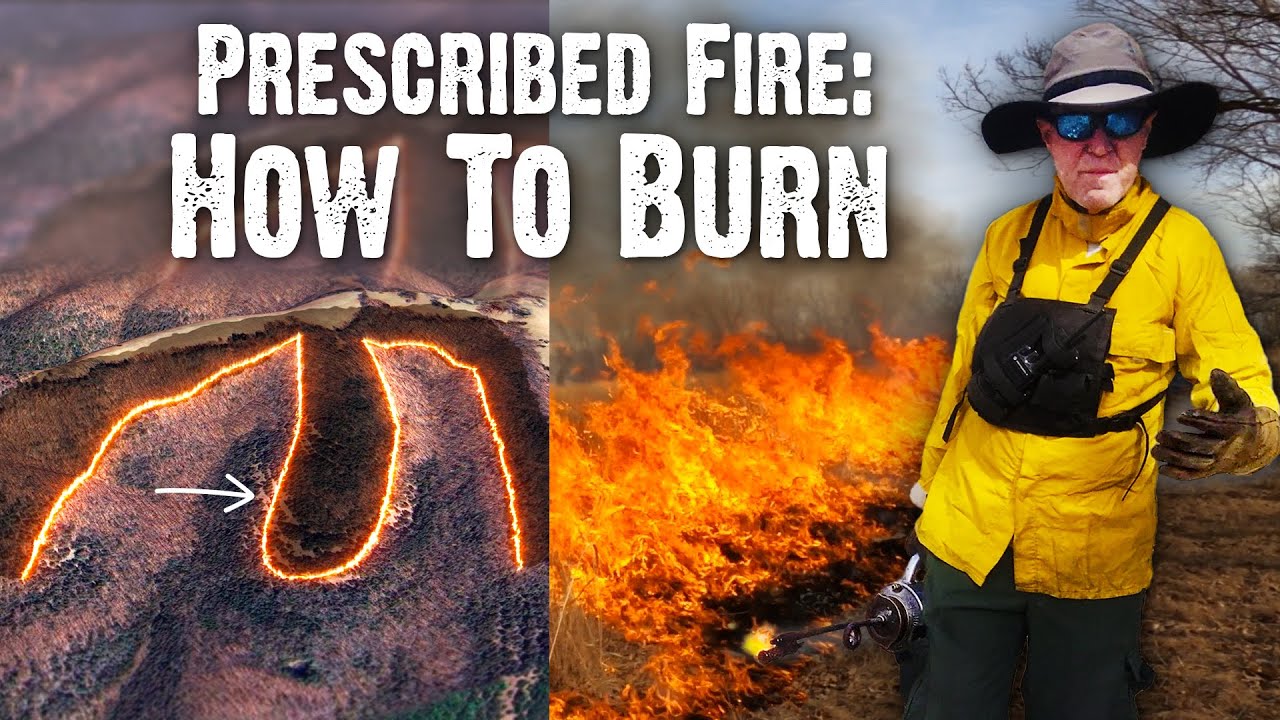 How to Burn - Understanding Backing and Head Fires (856)