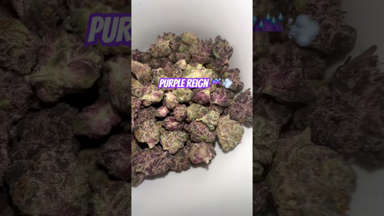 $40 half oz Purple Reign Smalls| THCA King #cannabiscommunity420 #420community #stayhigh