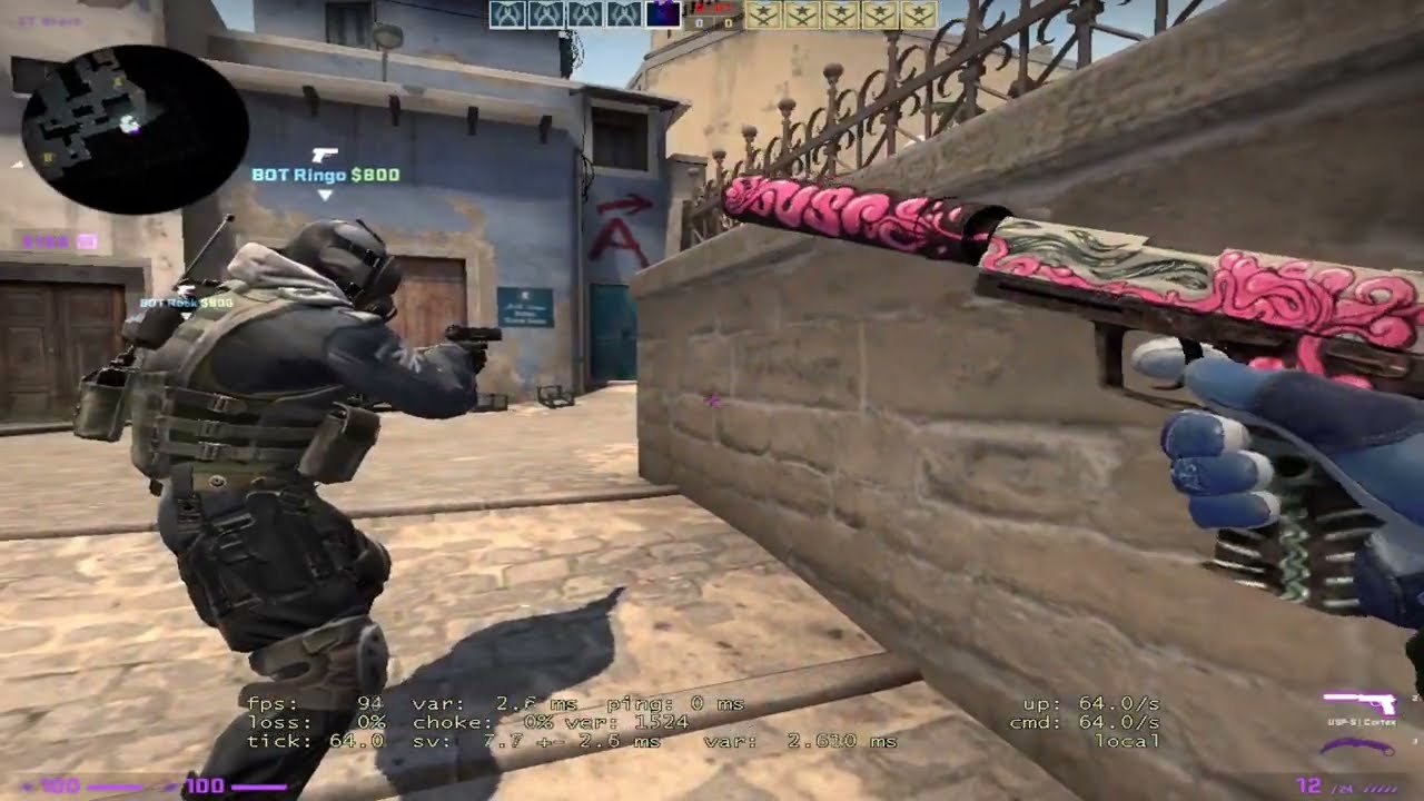 Counter Strike Global Offensive Gameplay With Bots