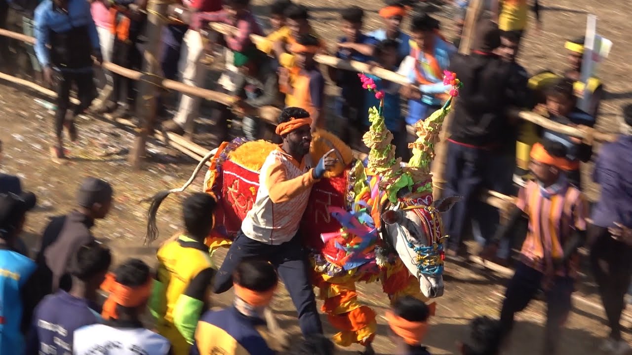 ಇಟ್ಟಗಿಹಳ್ಳಿ ಕುಮಾರ bull catcher | Ittagihalli kumara Top Bull catching video | Indian Bull