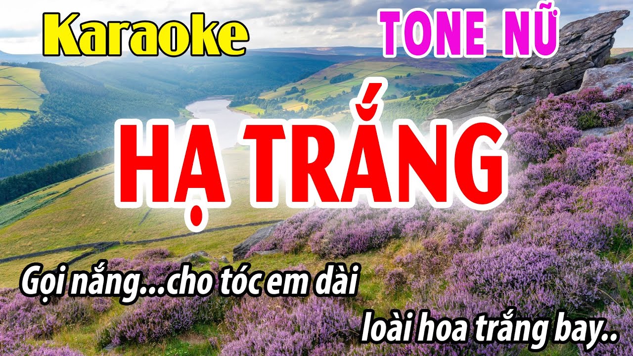 Karaoke Tone Nữ Hạ Trắng | Dm | Đời Sống Và Âm Nhạc