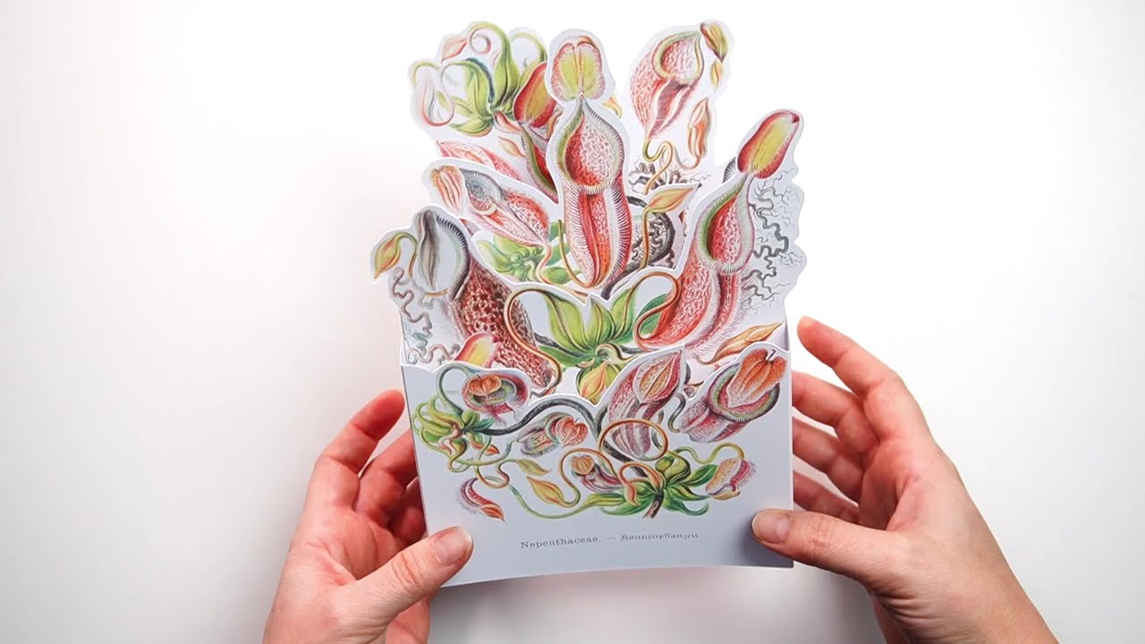 Create Your Own VINTAGE Floral Masterpiece with 3D Layered Cards!