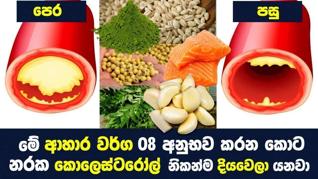 කොලෙස්ටරෝල්  දිය කර හරින හොදම ආහාර වර්ග 08ක්  - Super Foods for Lower Cholesterol
