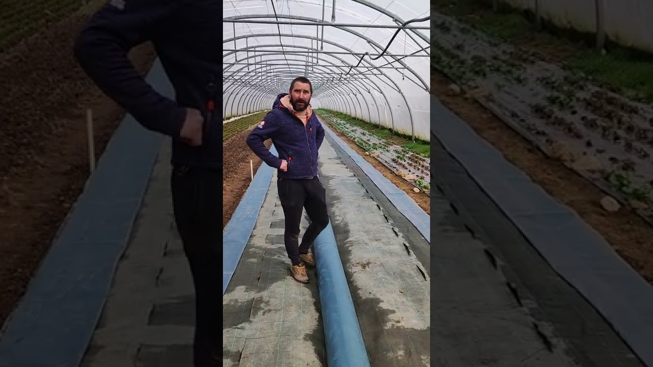 Mara&icirc;cher bio utilisant le syst&egrave;me de serre bioclimatique Tubutube ( Thermitube ) dans l'Allier
