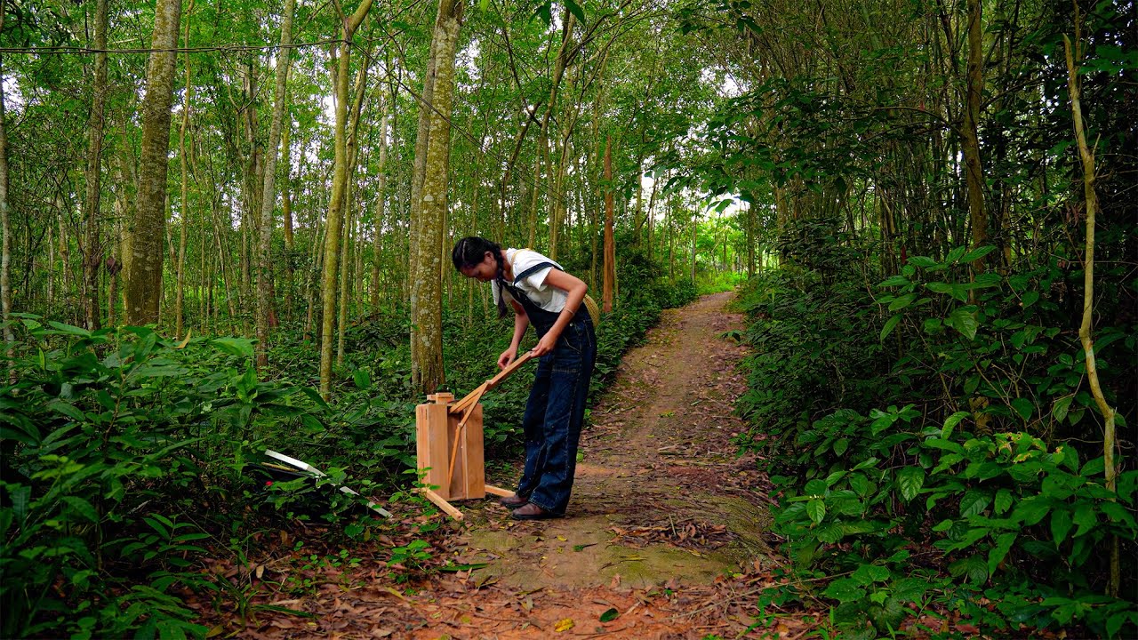 Quiet Forest Painting – A Relaxing Art Moment