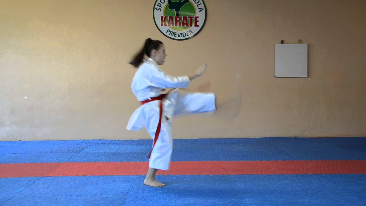 Taikyoku kake uke 1 - Nikoleta Merašická