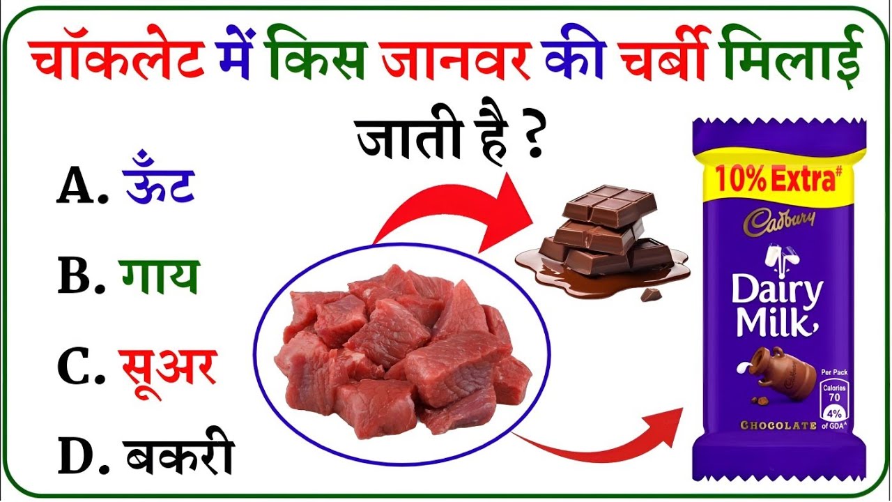 General Knowledge || Gk Questions || Gk In Hindi || Gk Quiz || Gk ke sawal || Mysterious Story