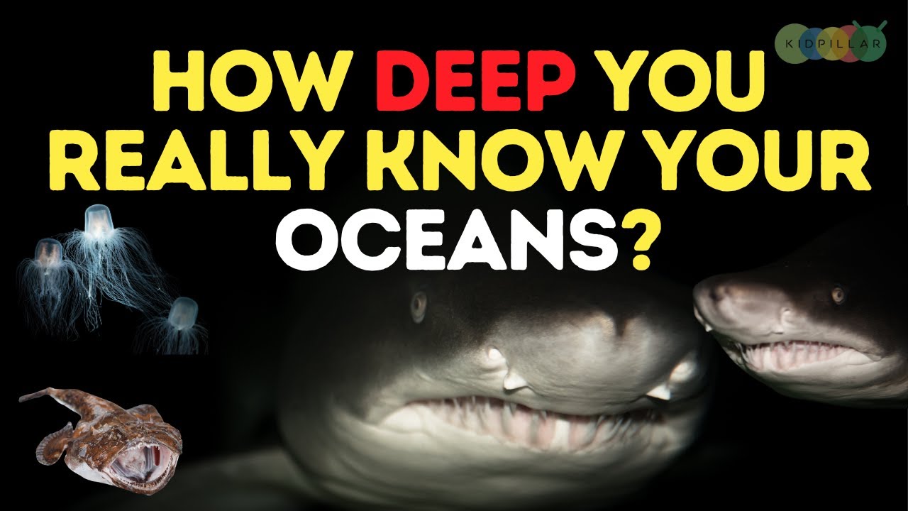 Unbelievable Ocean Facts Quiz &ndash; Boost Your Knowledge About Marine Wonders #oceantrivia #oceanfacts