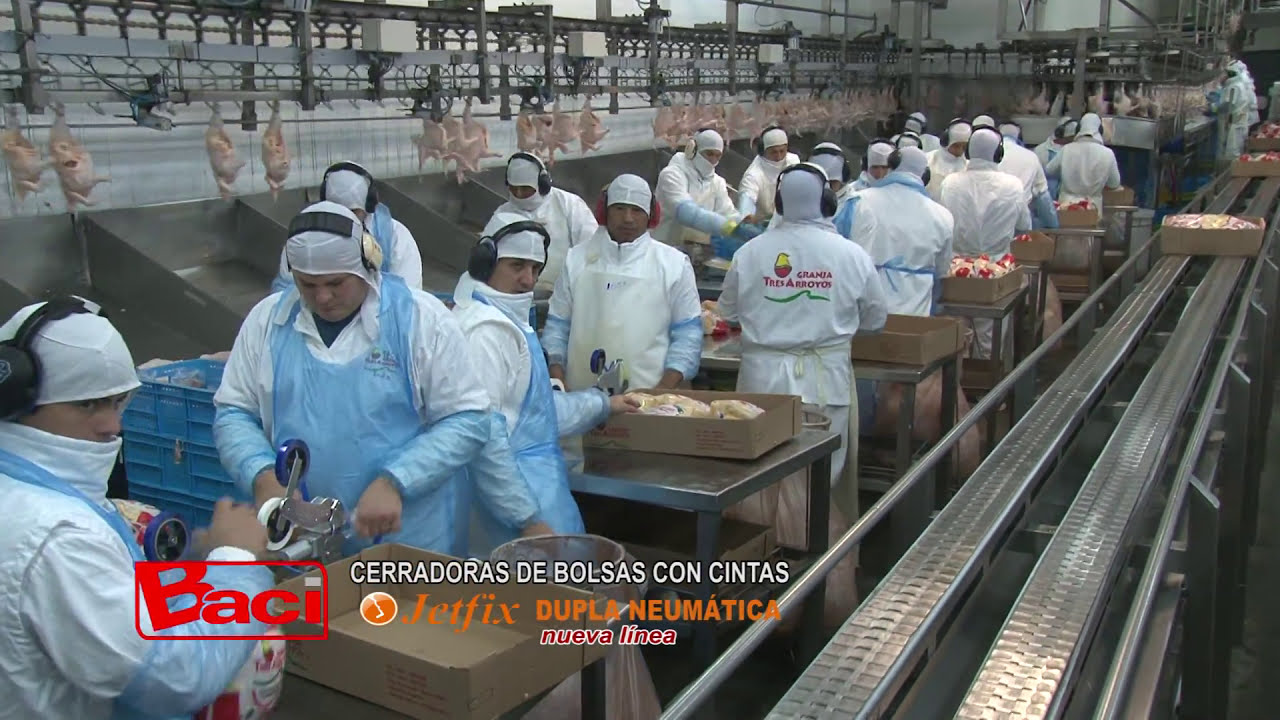 Comercial Baci - Embalaje de pollo entero Jetfix Dupla Neumática