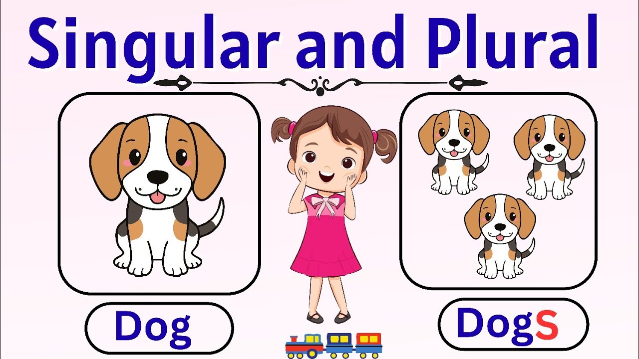 Singular and Plural| Singular noun and plural noun| one and many|english grammar|#singularandplural