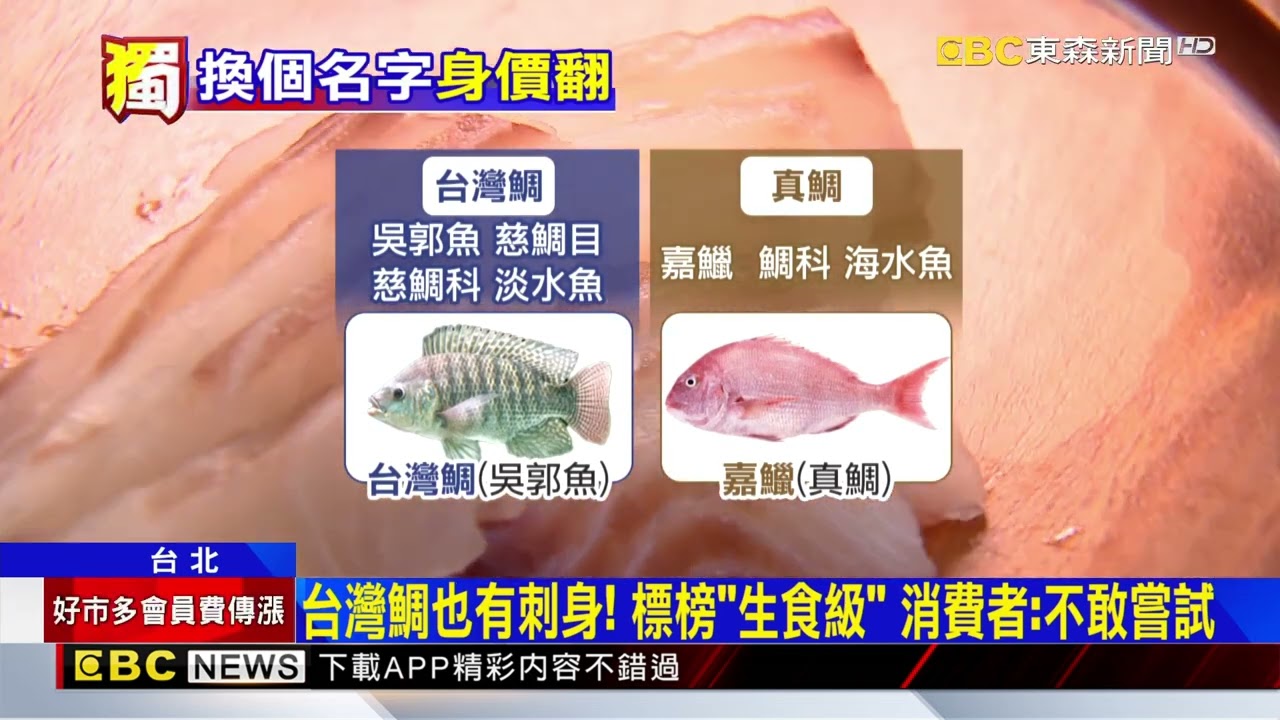 獨家》命名翻身？ 台灣鯛=「優質化吳郭魚」 糖醋.鹽烤.煲湯客人愛@newsebc
