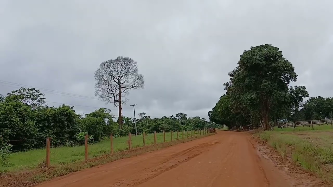 5 de março de 2026