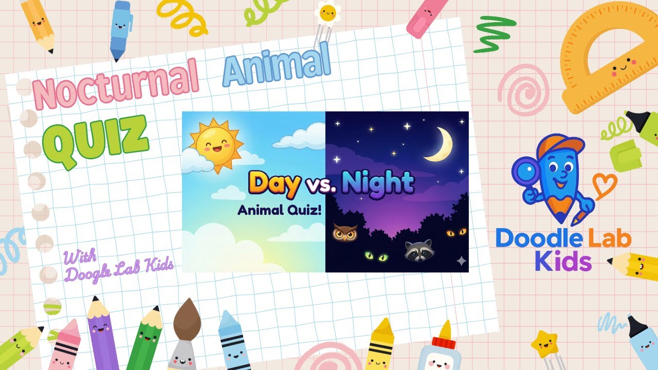 Episode 90 Nocturnal Animal Quiz