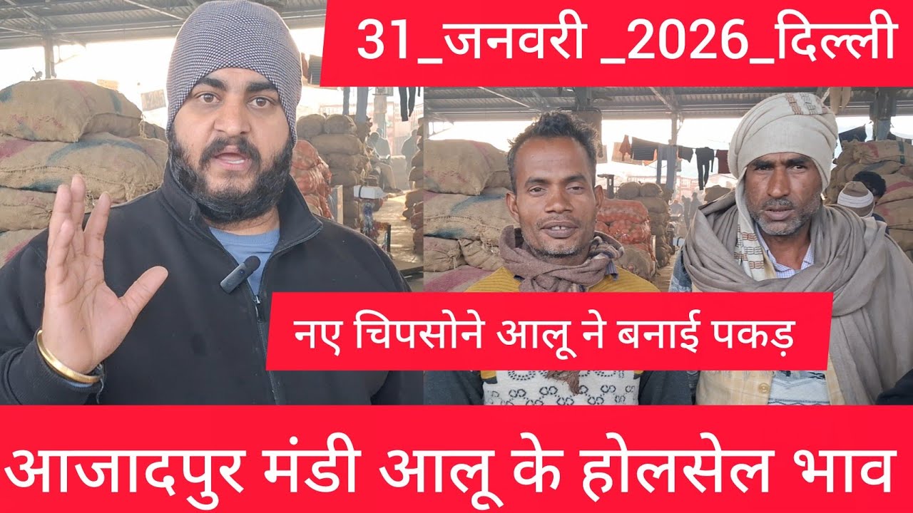 January 31, 2026 दिल्ली 🥔आलू के भाव Azadpur Delhi mandi today #PotatoMarket #delhipotatomarket 