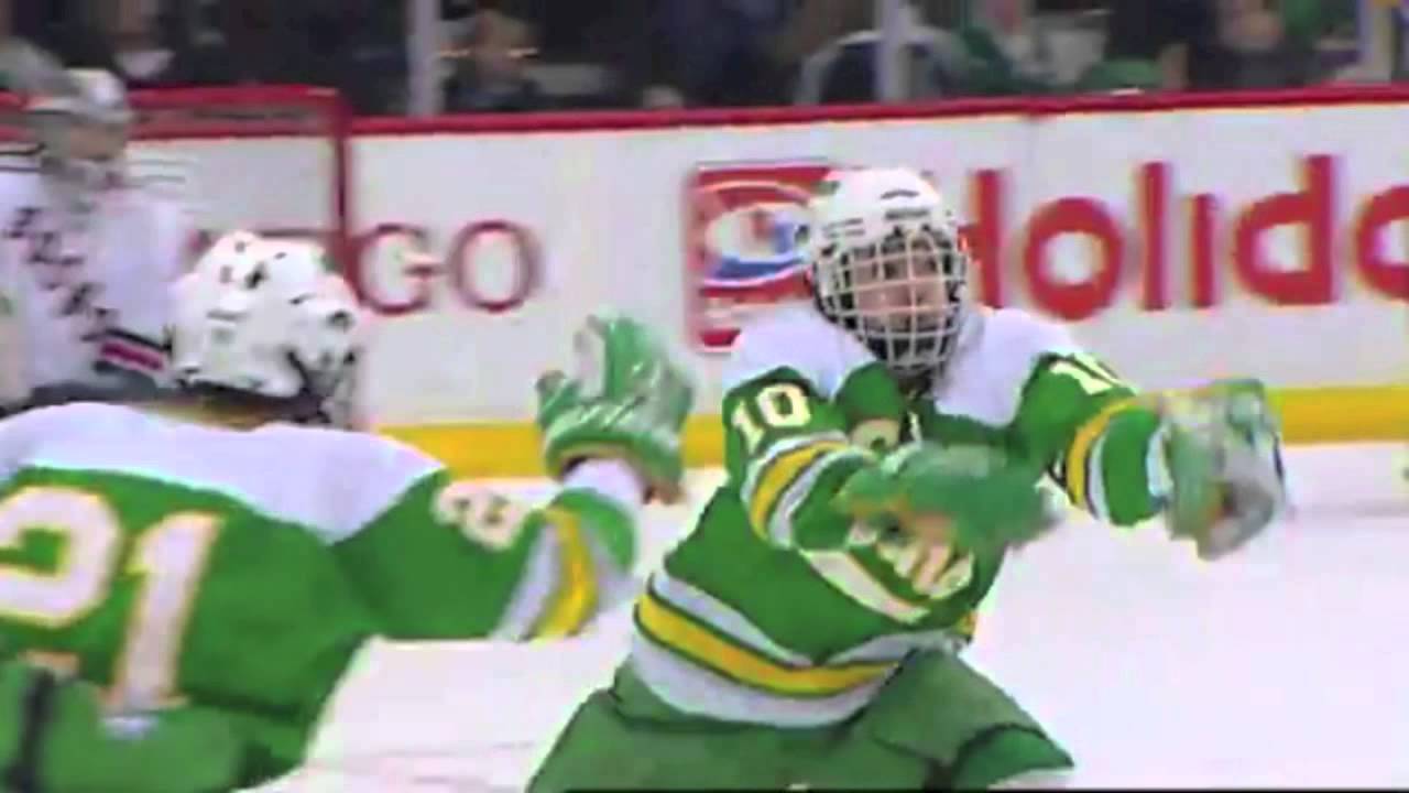 Edina Hornets Champions of the 2013 Minnesota State Hockey Tournament