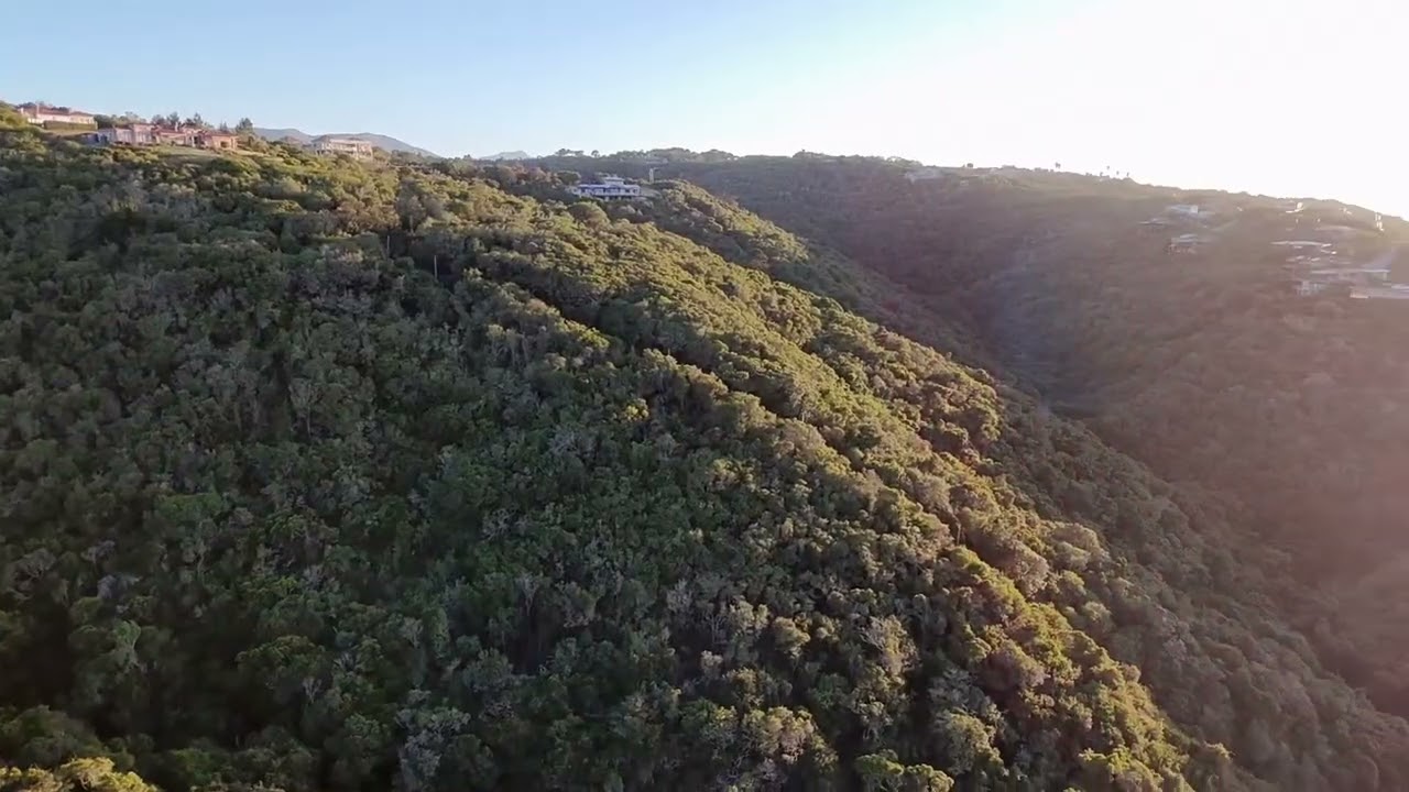 Where Ocean Horizons Meet Forest Serenity