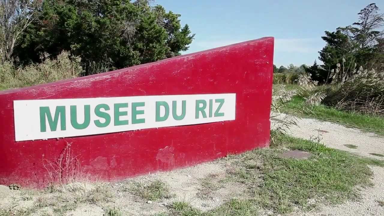 Histoire de la culture du riz en Camargue