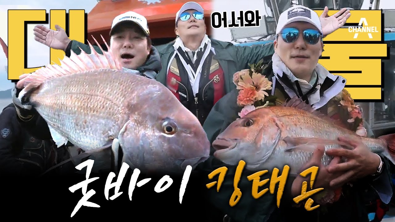 레전드 of 레전드 킹태곤을 떠나보내며🙌🏻 시즌1 레전드 대물부터 도시횟집까지! 이태곤 모음zip