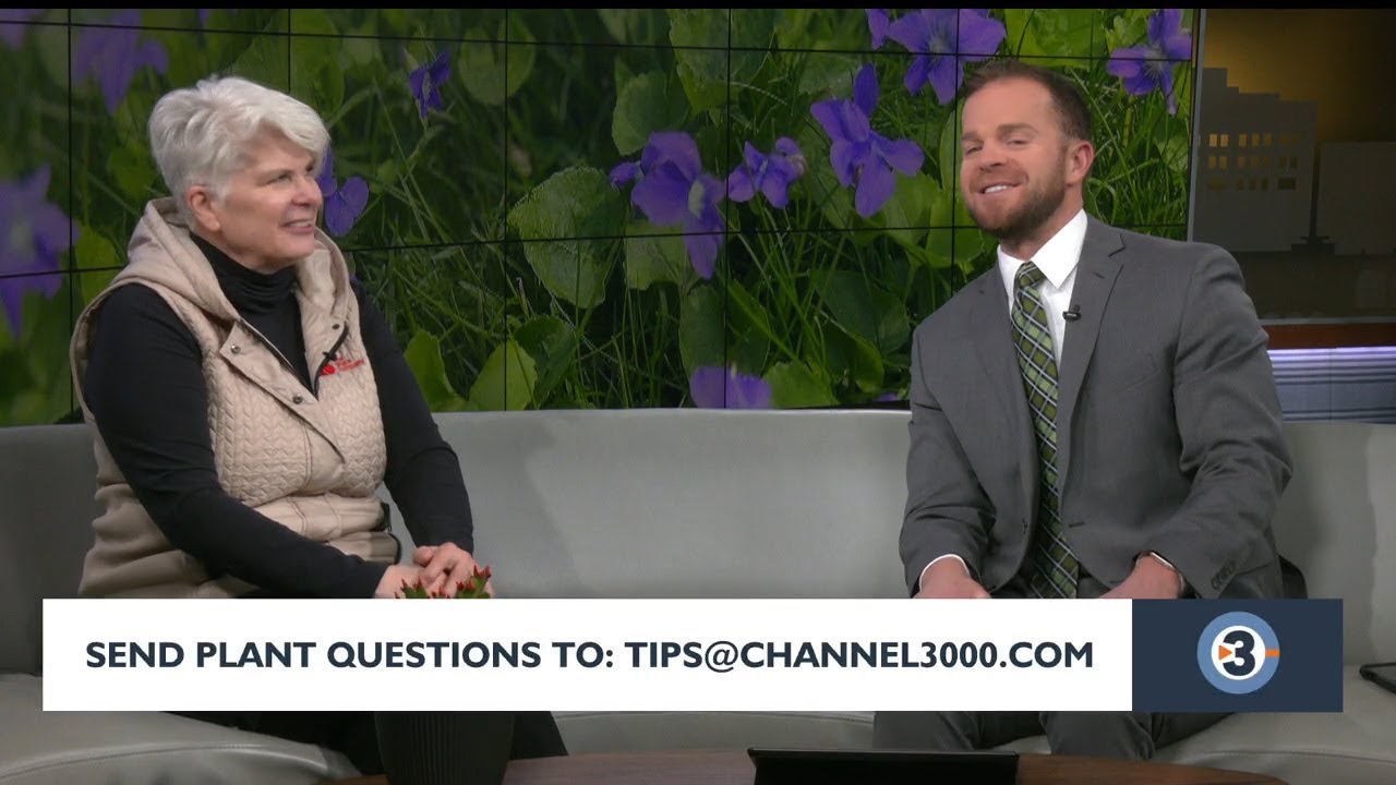 Answering your plant questions on News 3 Now at Noon