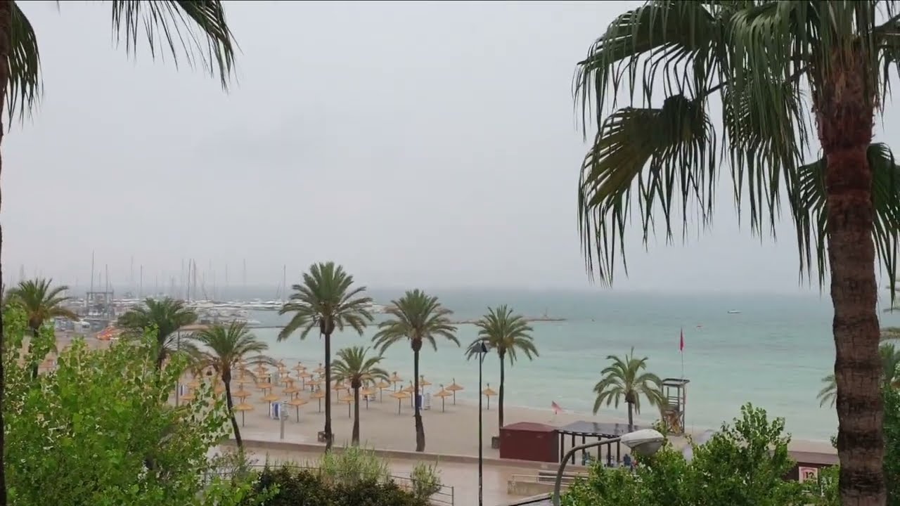 Rain in Palma of Mallorca