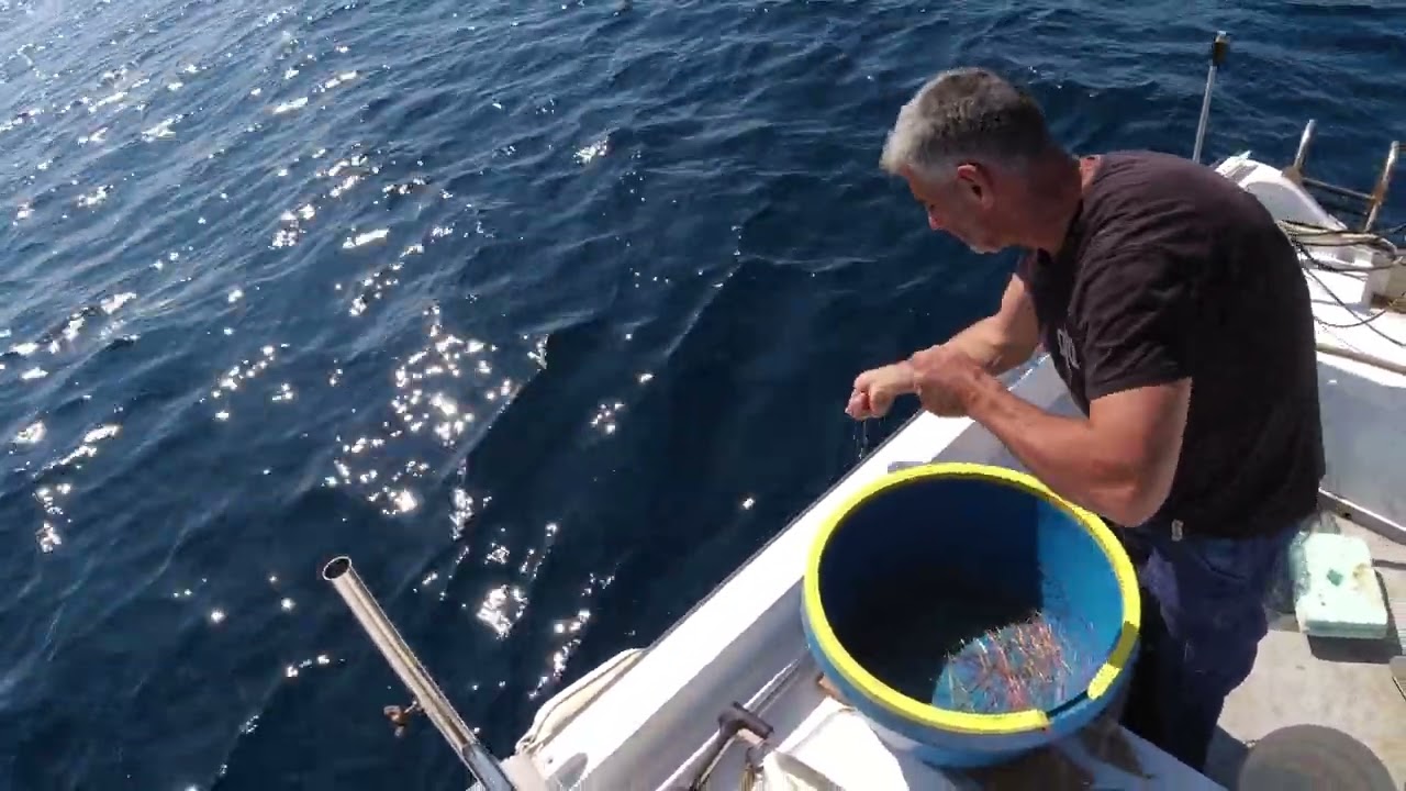 ψάρεμα παραγάδι από 67 μέτρα κατεβήκαμε στα 50 δόλωμα μάνα ρίξιμο 9:00 το πρωί