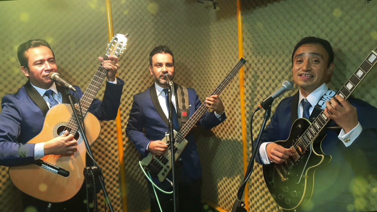 Los Tecolines Toda una vida