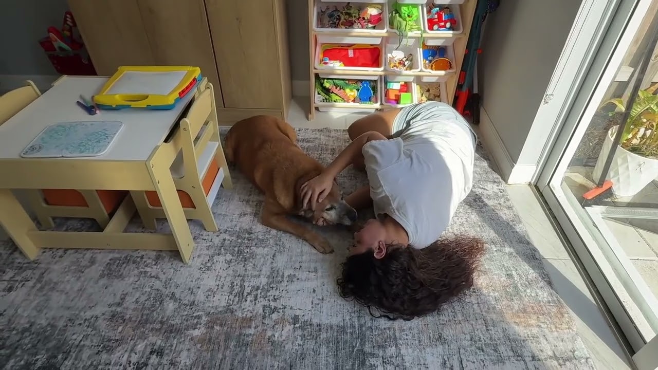Best Washable Rug for Kids & Pets? Modern Abstract Review