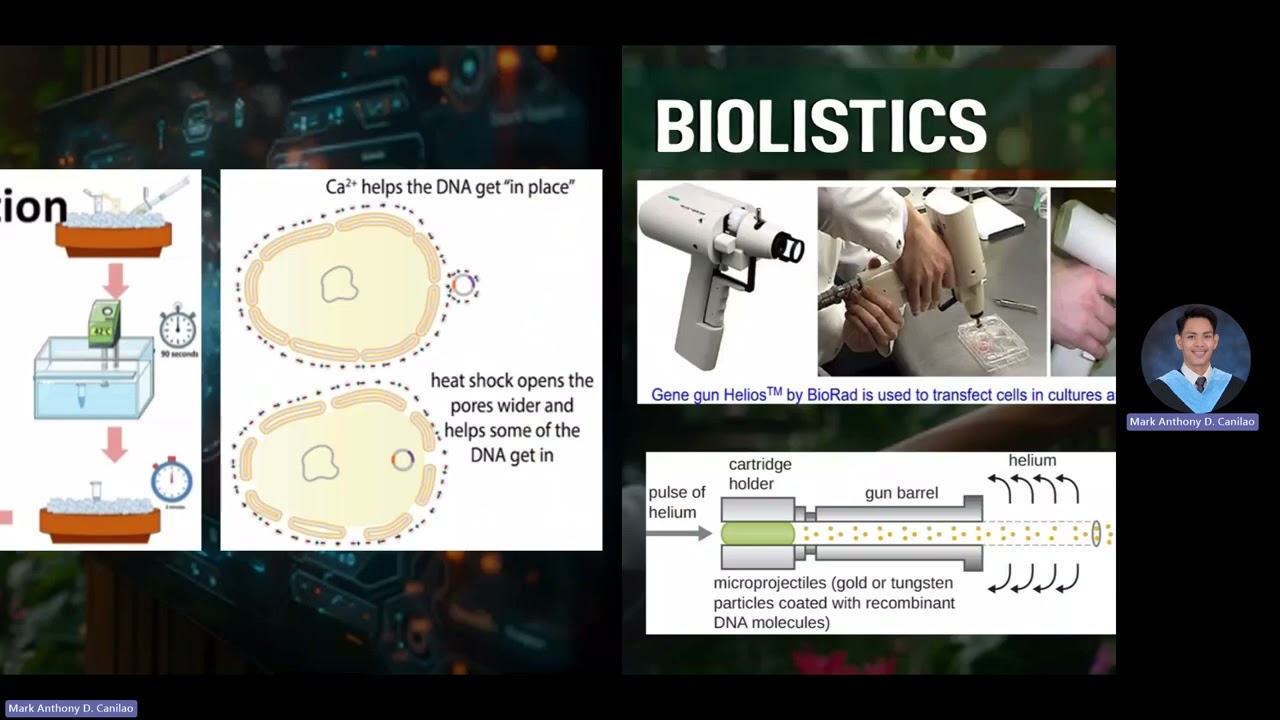 Introducing Desired Genes to Host Organism