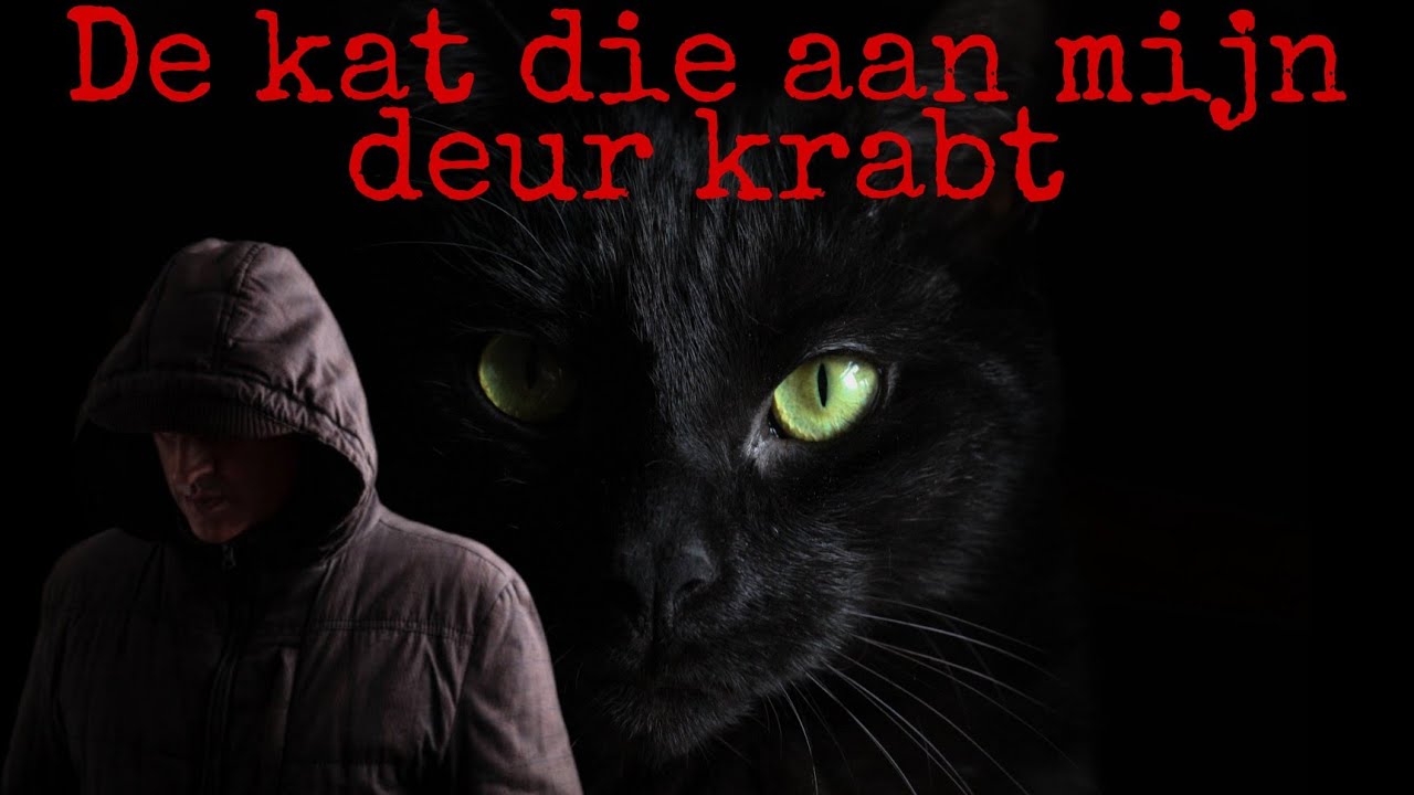 De kat die aan mijn deur krabt (Creepypasta NL)