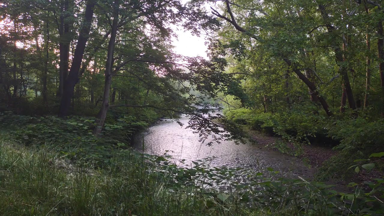 Turtle Creek Dawn 20250526