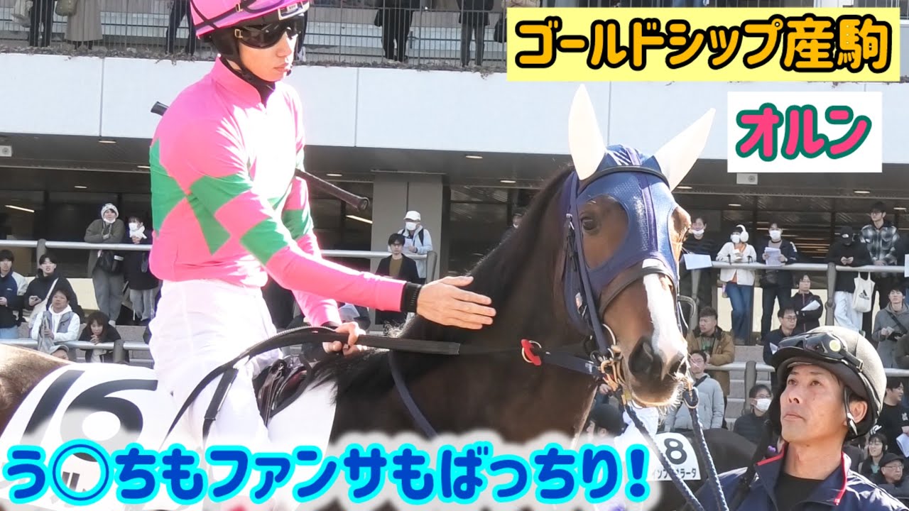 【ゴールドシップ産駒】う○ちからのレース行ってくるねとファンサし松本騎手にポンポンされるオルン
