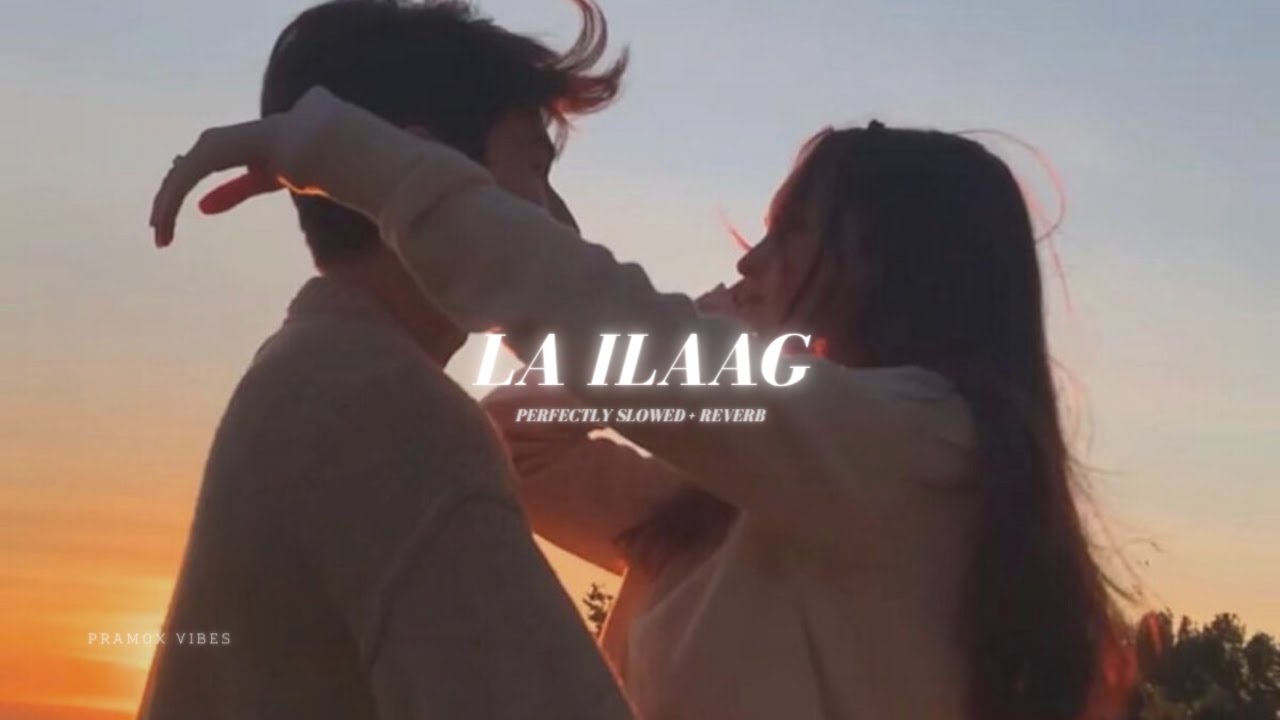 La Ilaaj - Perfectly Slowed + Reverb | Taimour baig | Danish Roomi