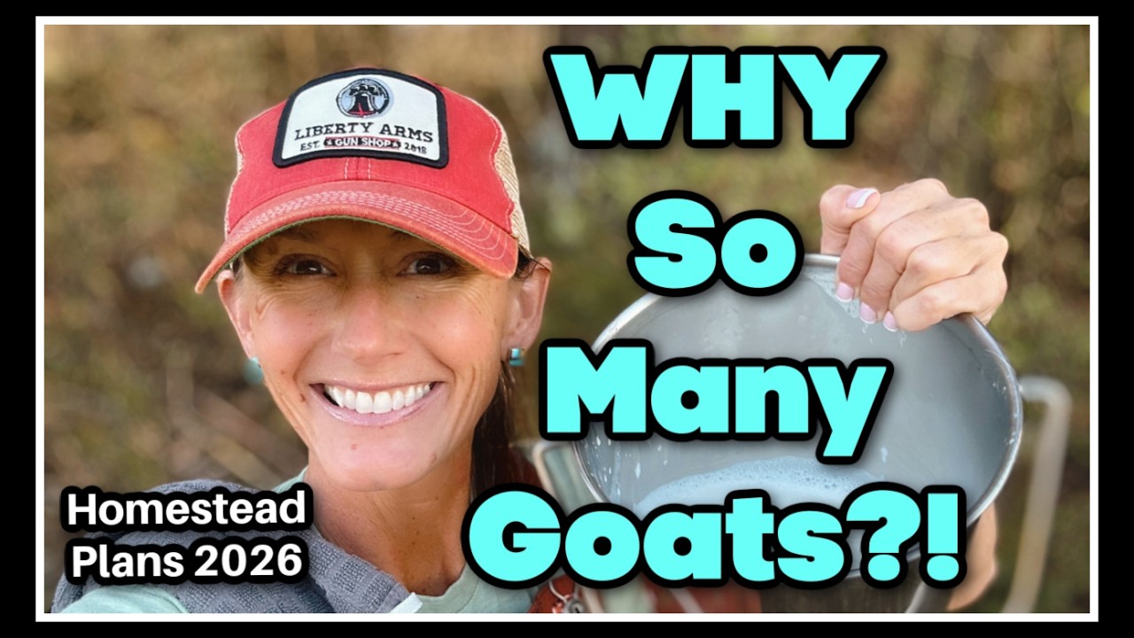 🧡 Carnivorish Homestead~Goat & Garden Plans 2026