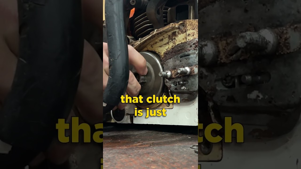 Chainsaw tip: Greasing the clutch drum bearing with Gordy 