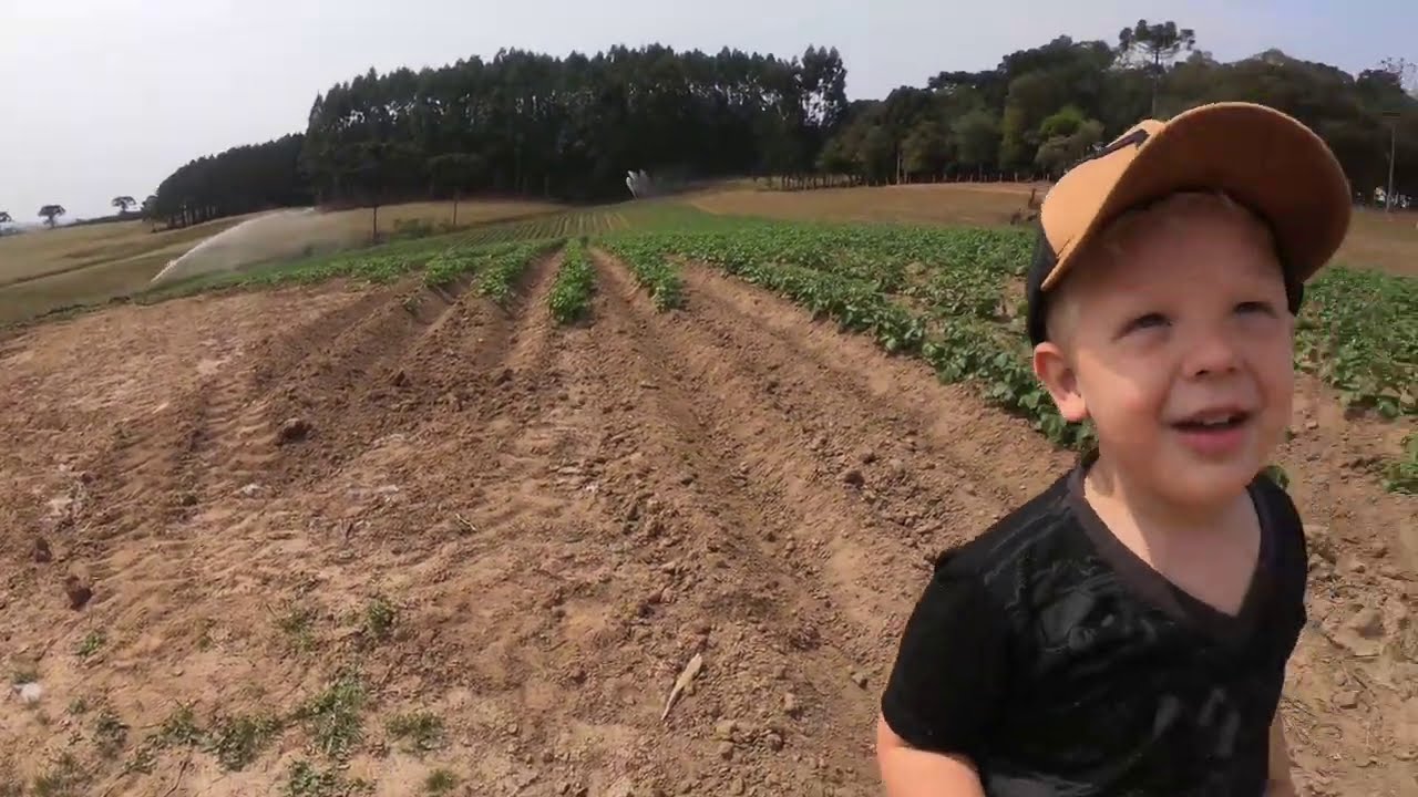 IRRIGAÇÃO DE BATATAS NO SUL DO PARANÁ!