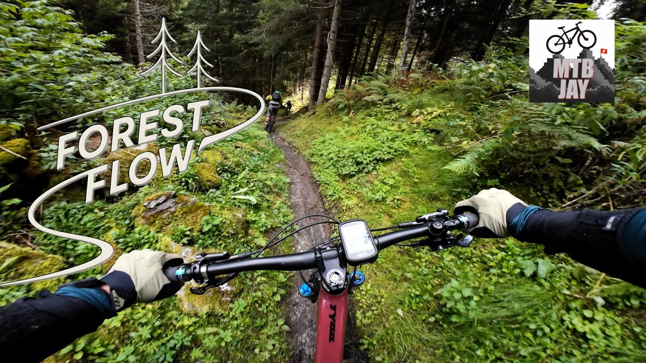 Fast Forest Singletrack Descent – Valais MTB Ride with Friends