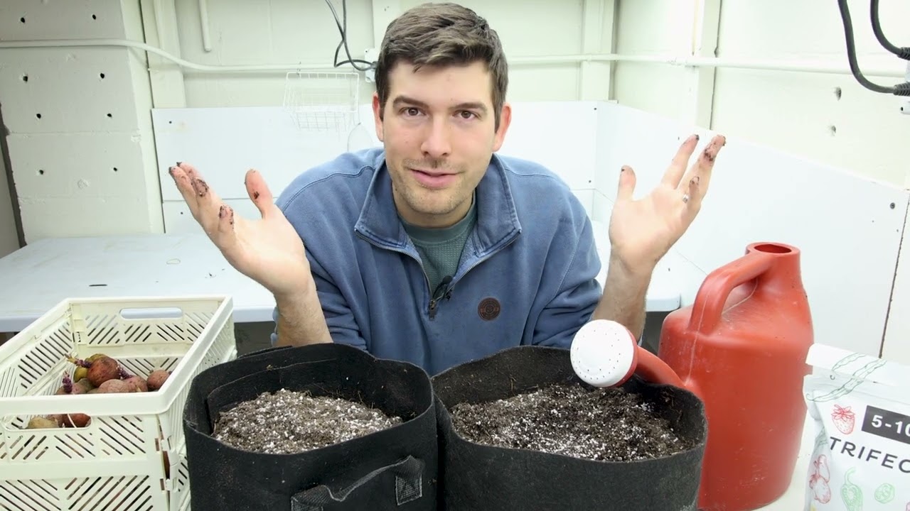What Matt Damon The Martian Should Have Known Before Growing Indoor Potatoes