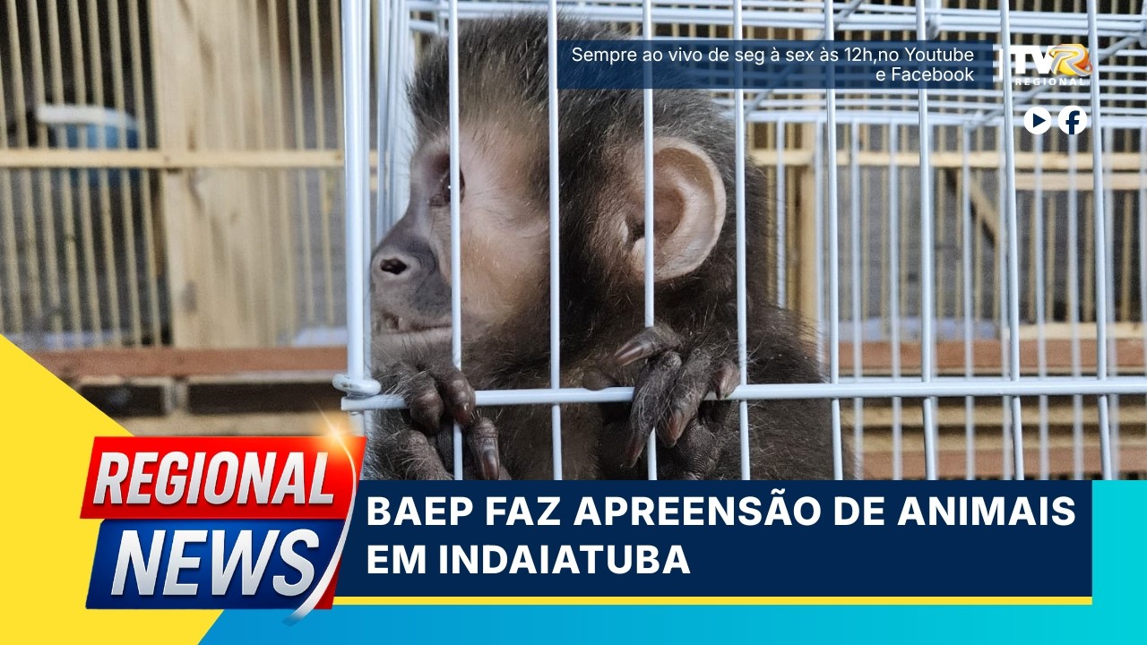 🚨AGORA: Notícias sobre Indaiatuba e região! - 03/03/26