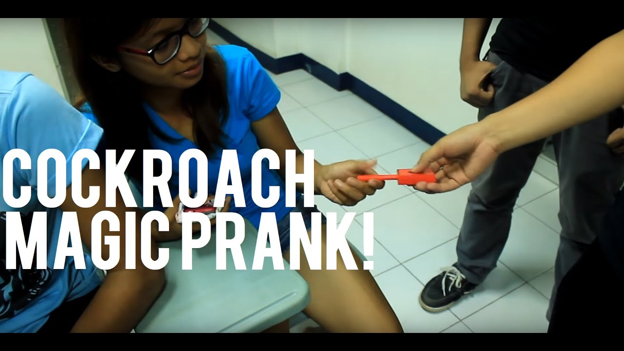 BEST COCKROACH MAGIC PRANK COMPILATION