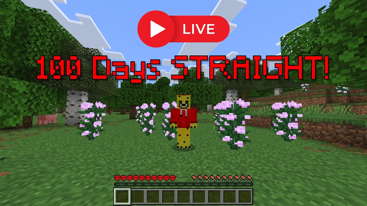 Playing Hardcore Minecraft for 100 Days with VIEWERS