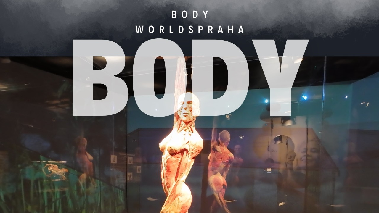 Body Worlds Praha: Výstava, která ti změní pohled na lidské tělo