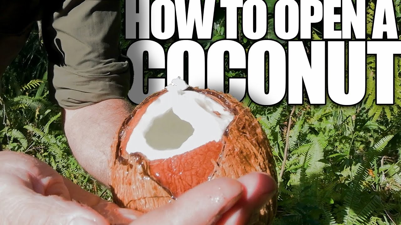 How to Open a Wild Coconut