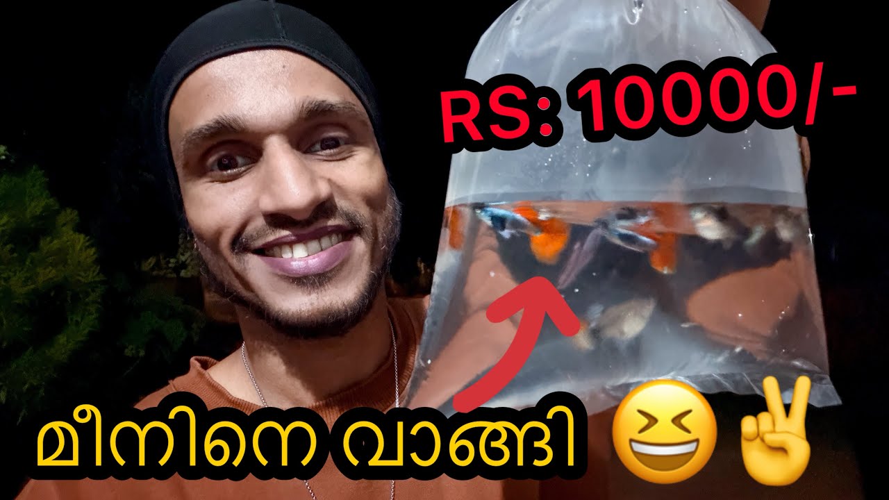 മീനുകളെ വാങ്ങി😆✌️| Lifestyle 