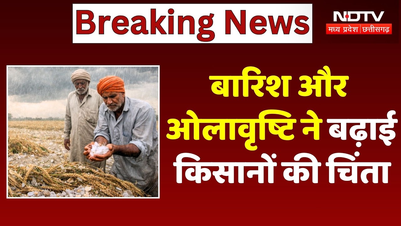MP Weather News: Ambikapur में बारिश और ओलावृष्टि ने बढ़ाई Farmers की चिंता | Rain | Hailstorm