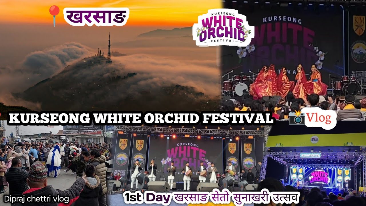 KURSEONG White Orchid festival 💮Day 1 | 24/01/2024 | Beauty of Kurseong @diprajchettrivlog 🥰😊