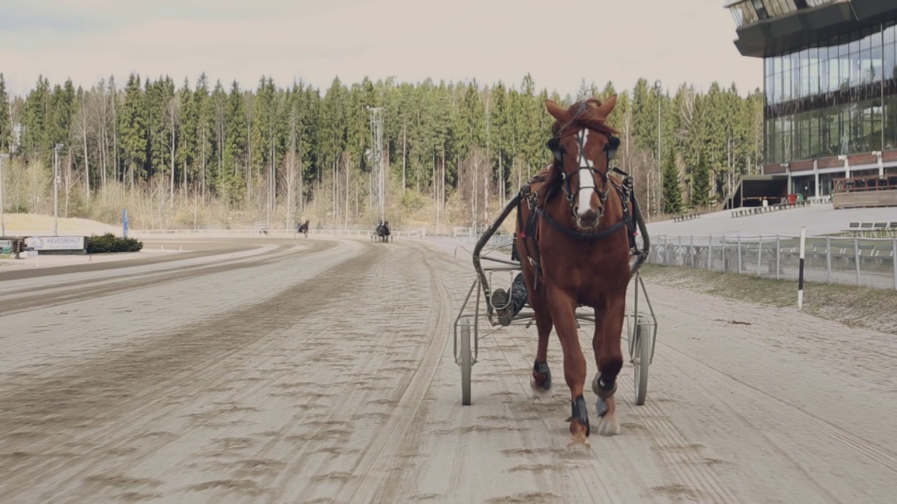 Hevosalan koulutus, Koulutuskeskus Salpaus, Jokimaa Lahti