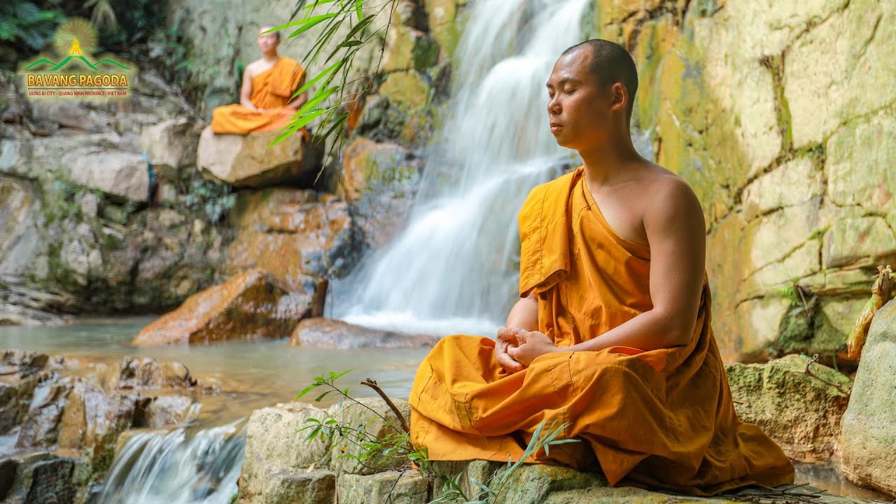 Monks Practise Buddha Dharma In The Forest