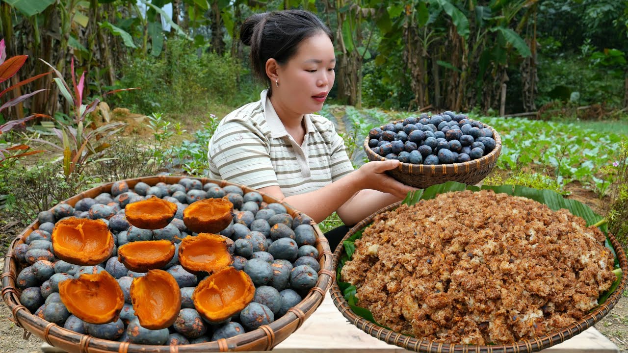 PALM FRUIT - Harvesting Palm Fruit, Recipe for Delicious Palm Fruit Sticky Rice to Sell the Market.